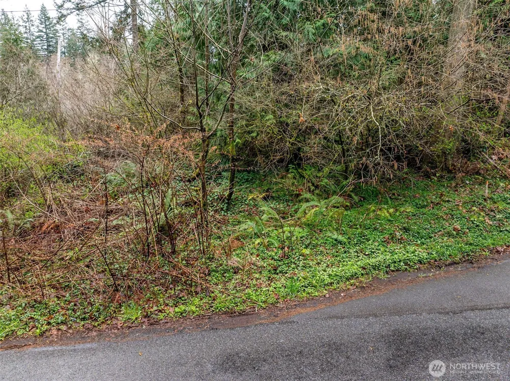 32617 Benbow Drive E Graham, WA 98338