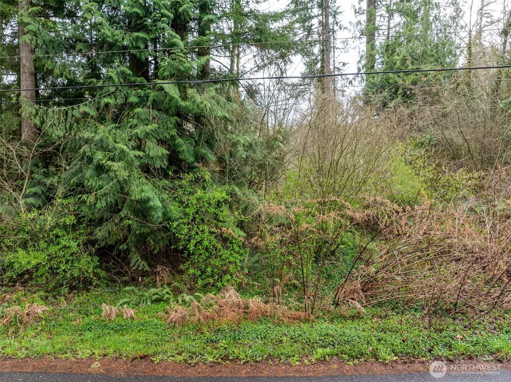 32617 Benbow Drive E Graham, WA 98338