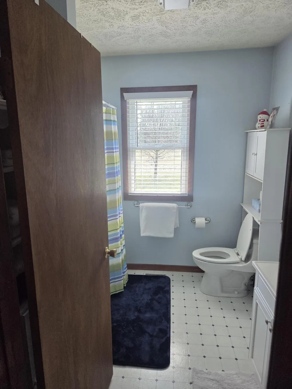 26641 60th Avenue Antwerp Township, MI 49071