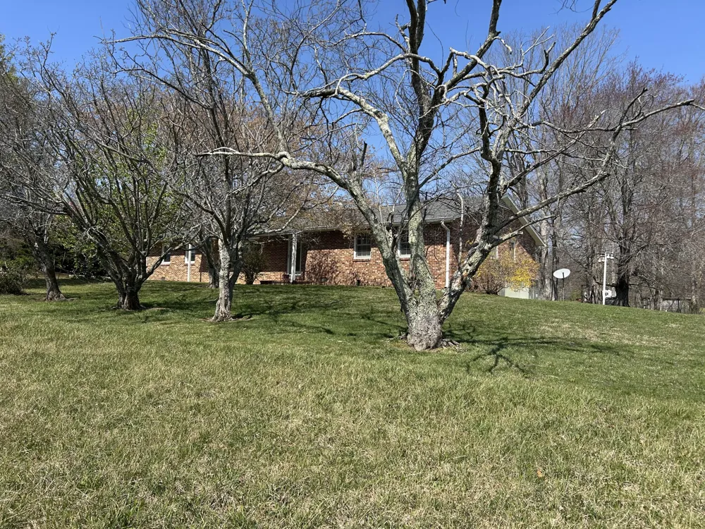 515 Brayton Road Graysville, TN 37338