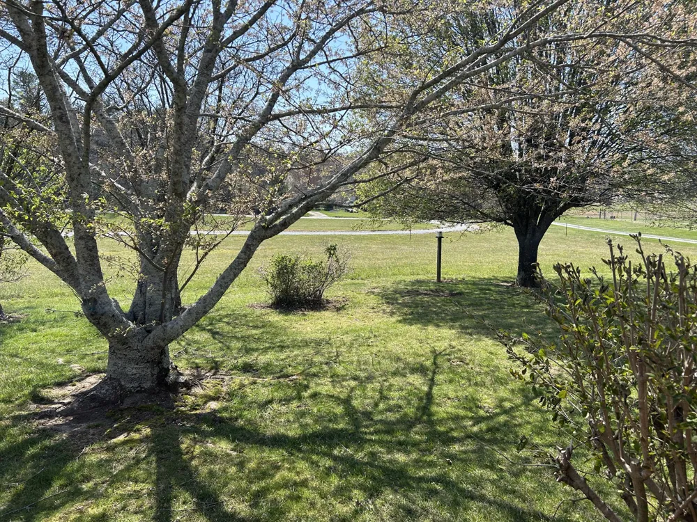515 Brayton Road Graysville, TN 37338