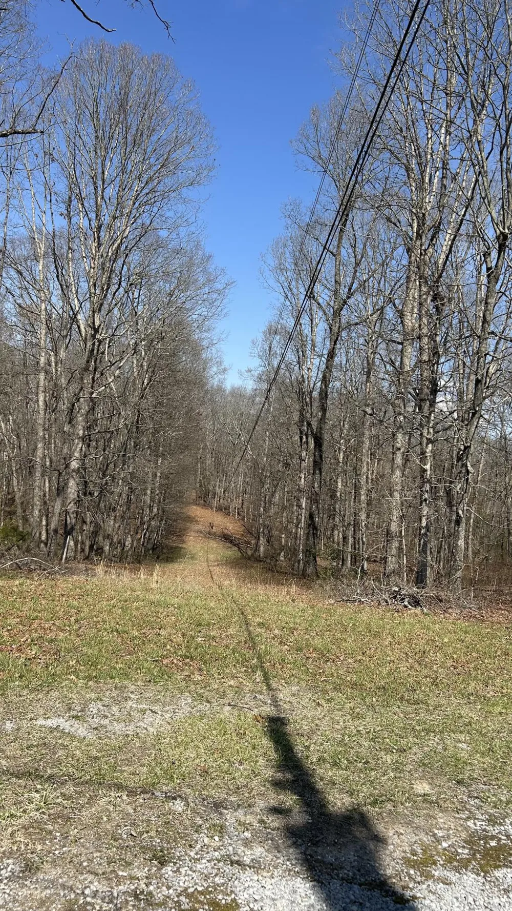 515 Brayton Road Graysville, TN 37338