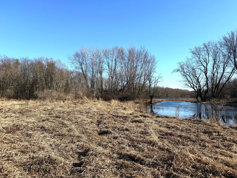 E Dowling Road Dowling, MI 49050
