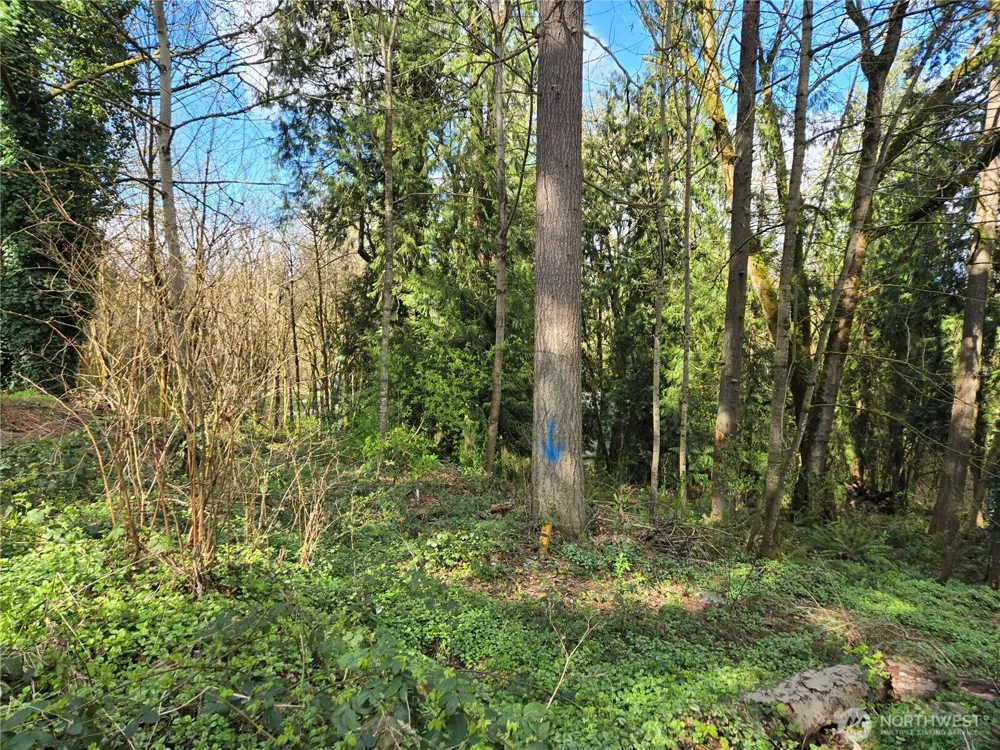 54 xx S 344th Street Auburn, WA 98001