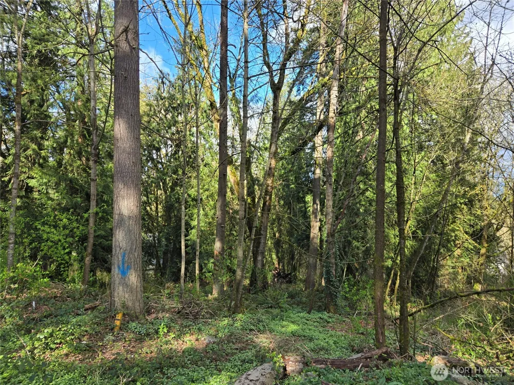 54 xx S 344th Street Auburn, WA 98001