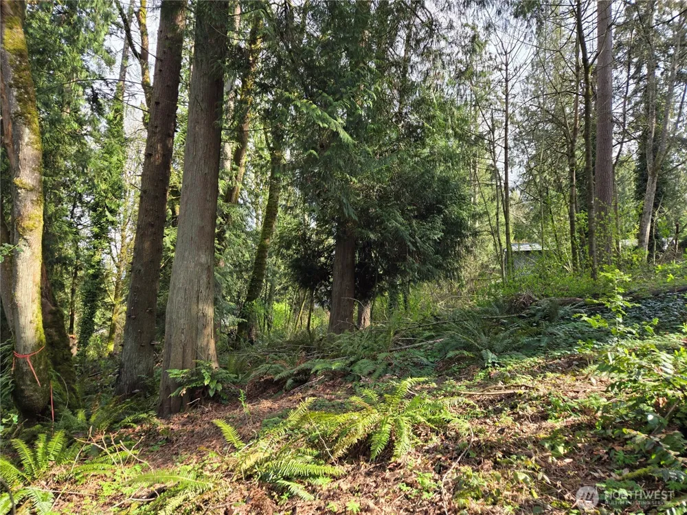 54 xx S 344th Street Auburn, WA 98001