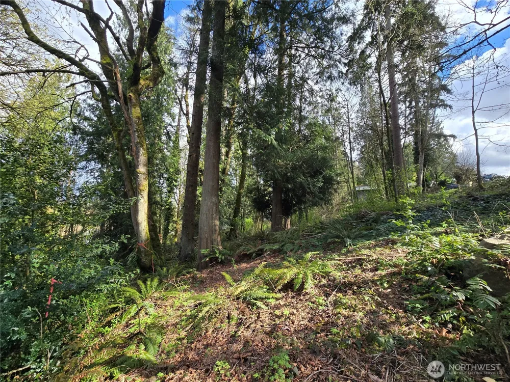 54 xx S 344th Street Auburn, WA 98001