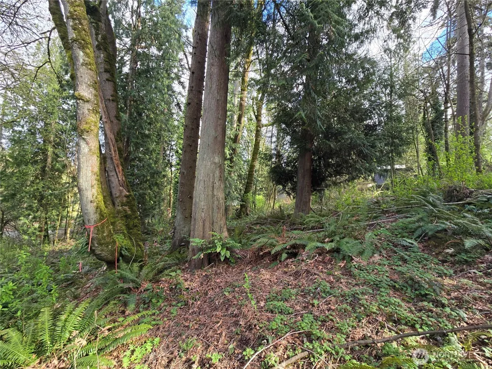 54 xx S 344th Street Auburn, WA 98001