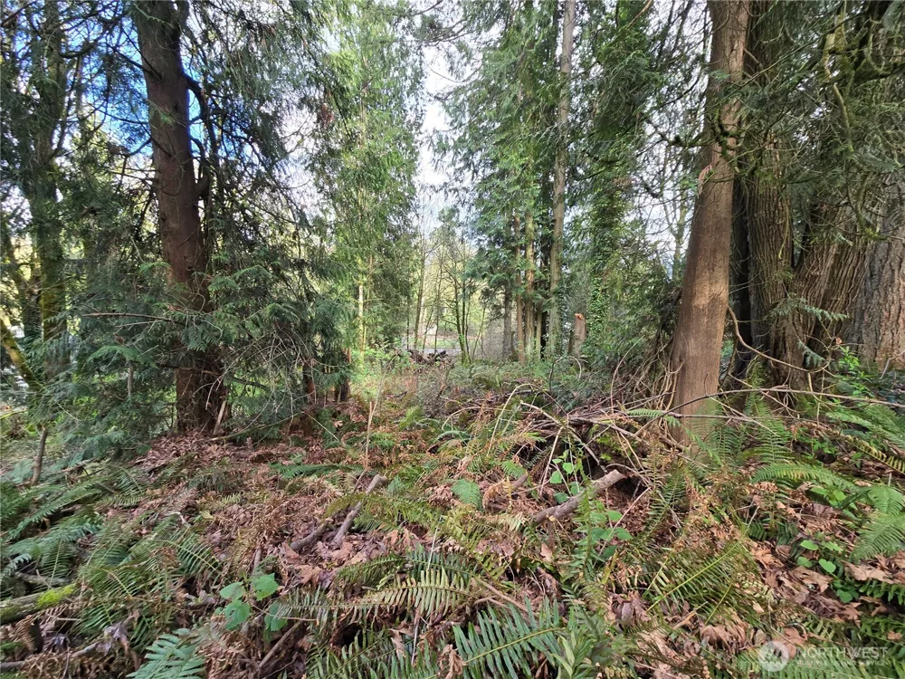 54 xx S 344th Street Auburn, WA 98001