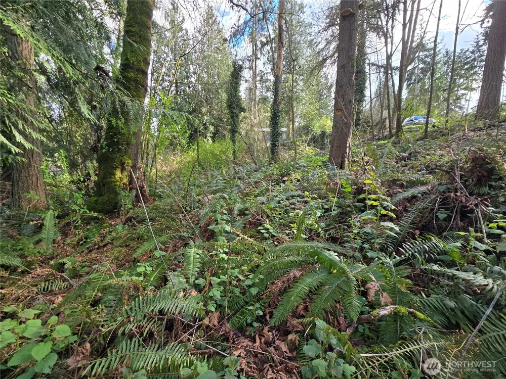 54 xx S 344th Street Auburn, WA 98001