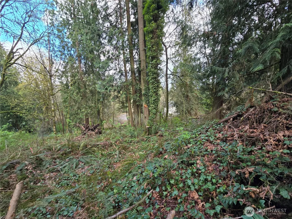 54 xx S 344th Street Auburn, WA 98001