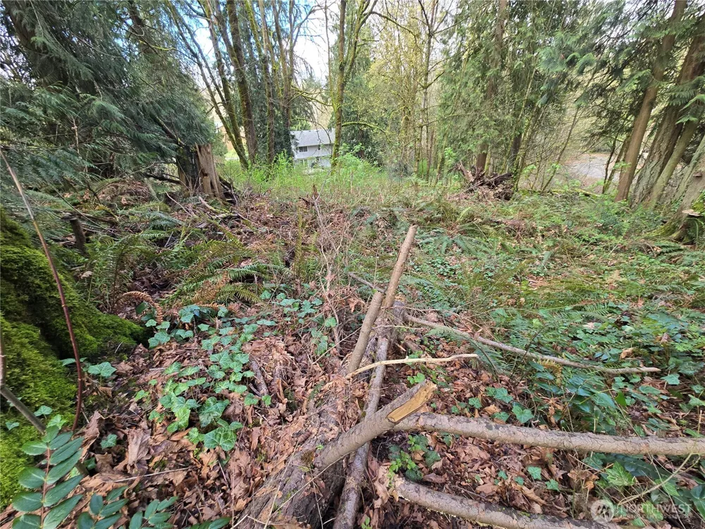 54 xx S 344th Street Auburn, WA 98001
