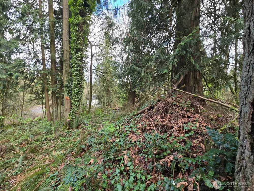 54 xx S 344th Street Auburn, WA 98001