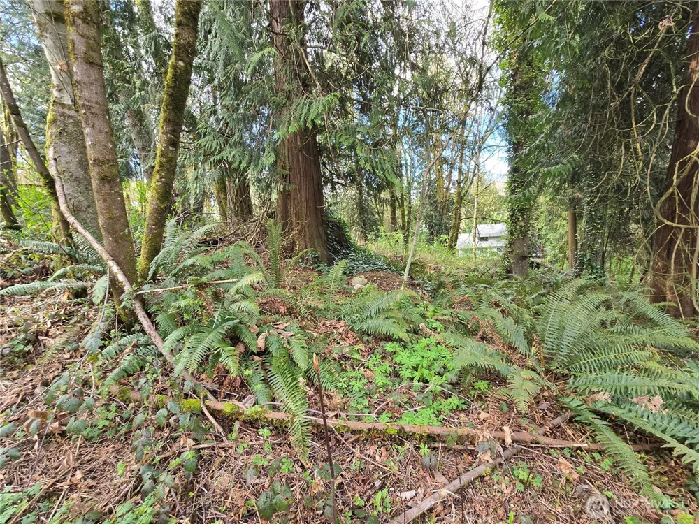 54 xx S 344th Street Auburn, WA 98001