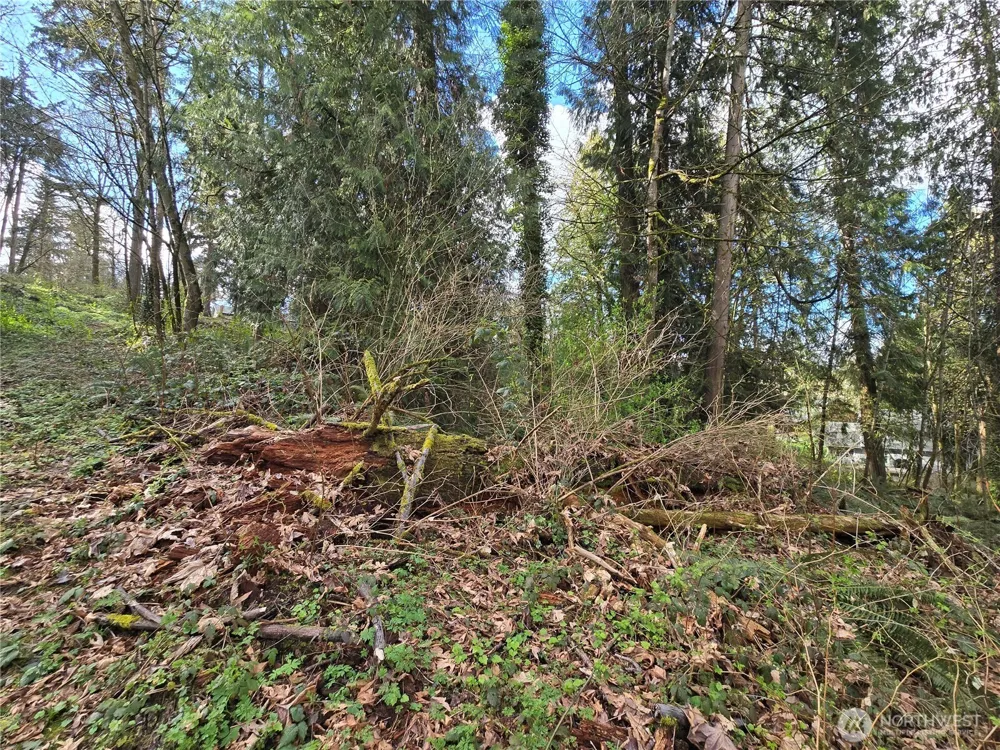 54 xx S 344th Street Auburn, WA 98001