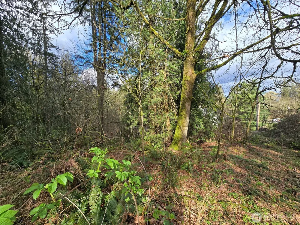 54 xx S 344th Street Auburn, WA 98001
