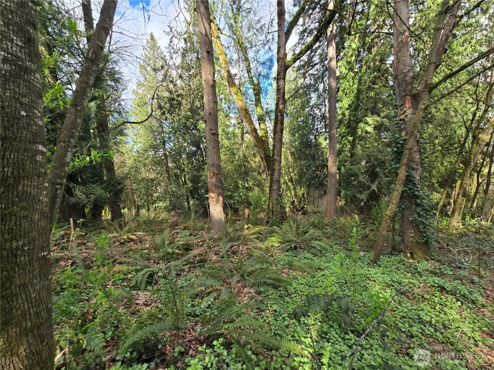 54 xx S 344th Street Auburn, WA 98001