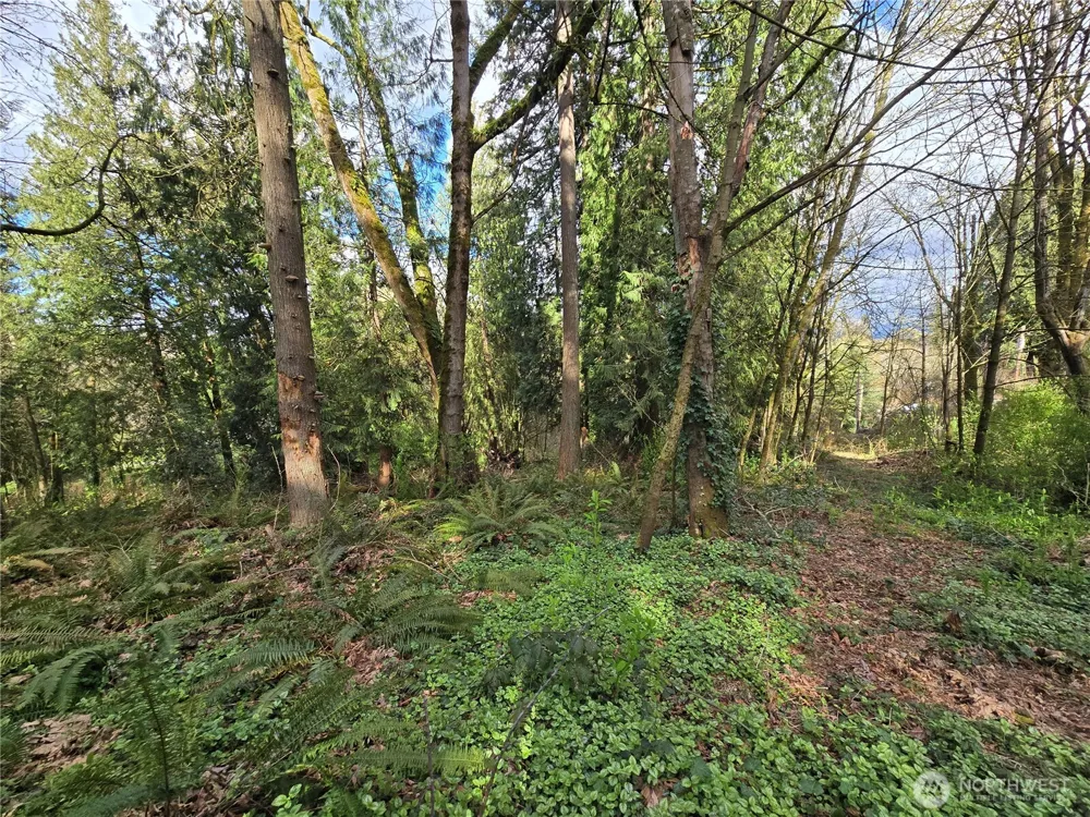 54 xx S 344th Street Auburn, WA 98001