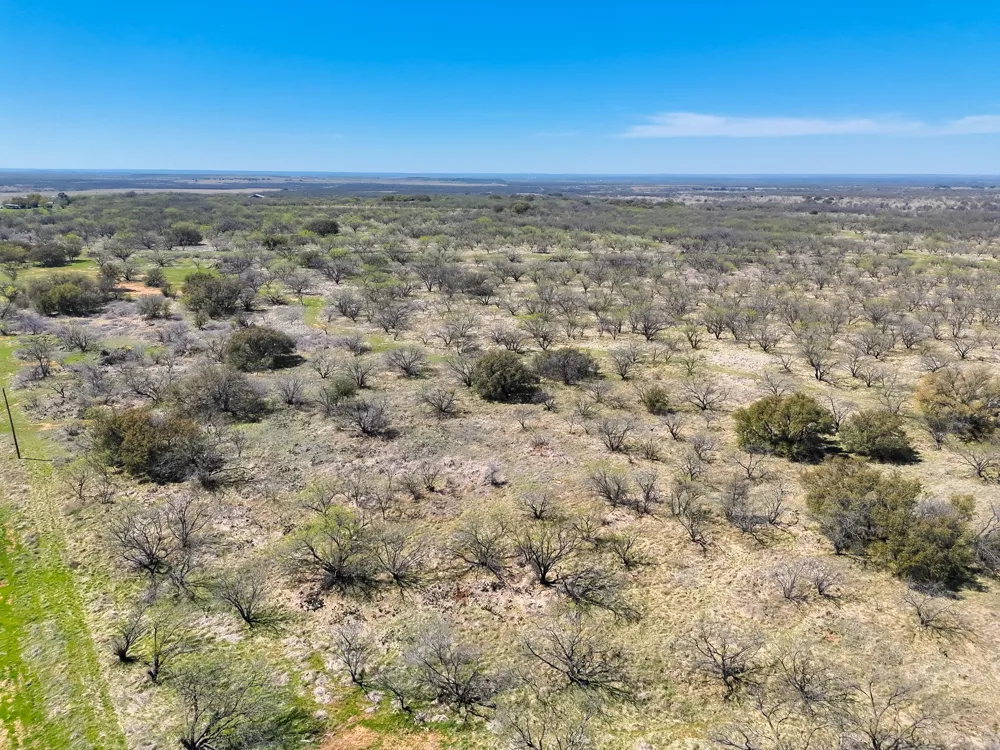 TBD Cnty Rd 291 Breckenridge, TX 76464