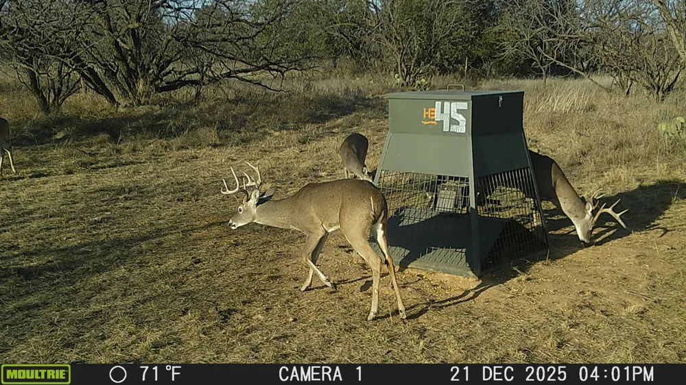 TBD Cnty Rd 291 Breckenridge, TX 76464