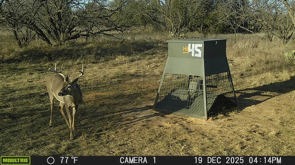 TBD Cnty Rd 291 Breckenridge, TX 76464