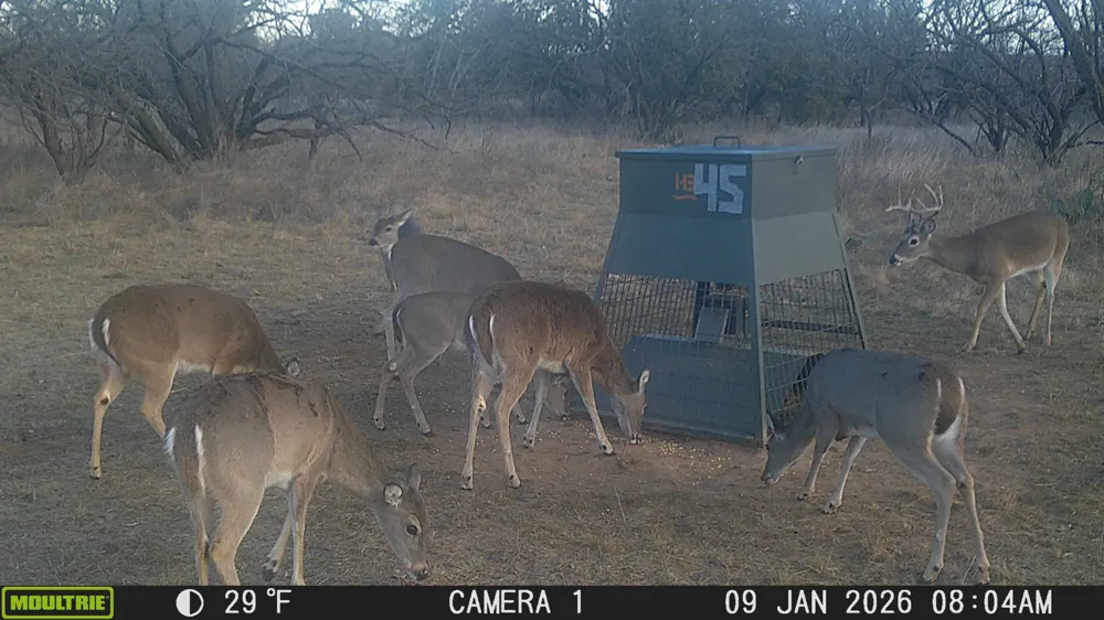 TBD Cnty Rd 291 Breckenridge, TX 76464
