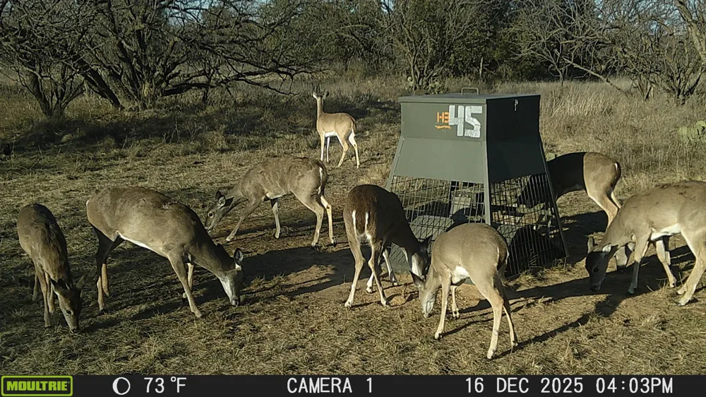 TBD Cnty Rd 291 Breckenridge, TX 76464