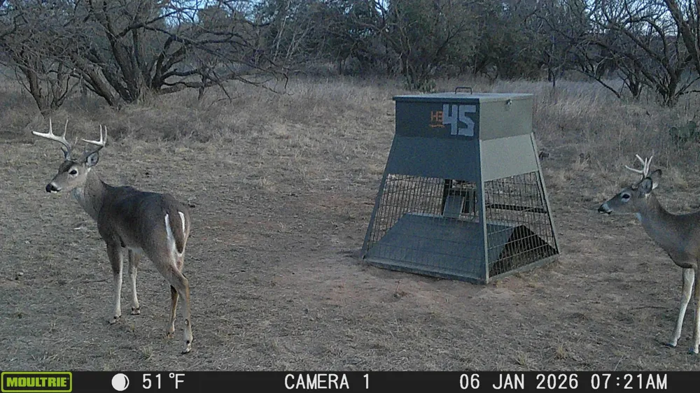 TBD Cnty Rd 291 Breckenridge, TX 76464