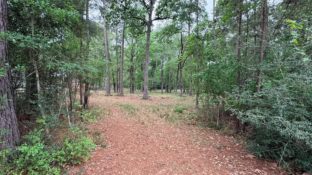 225 Pelican Street Magnolia, TX 77355