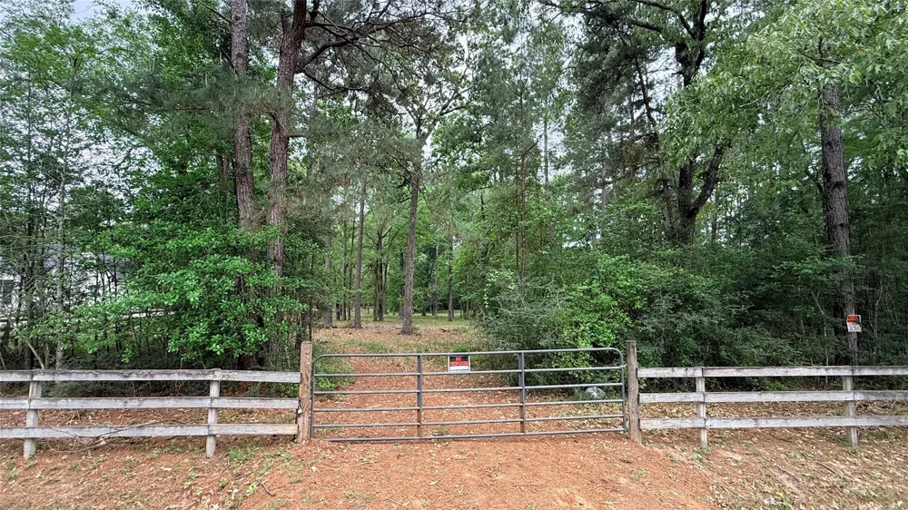 225 Pelican Street Magnolia, TX 77355
