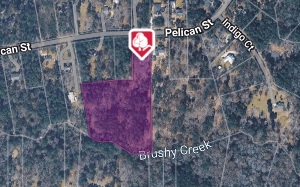 225 Pelican Street Magnolia, TX 77355