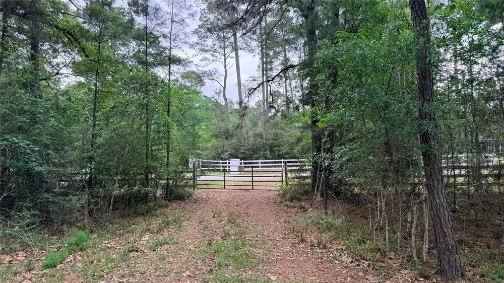 225 Pelican Street Magnolia, TX 77355