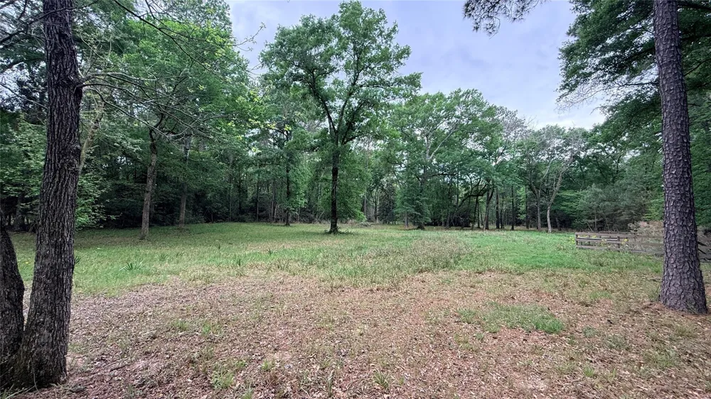 225 Pelican Street Magnolia, TX 77355