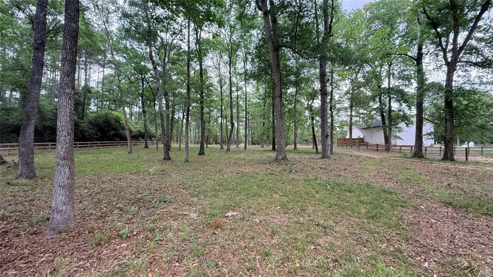 225 Pelican Street Magnolia, TX 77355