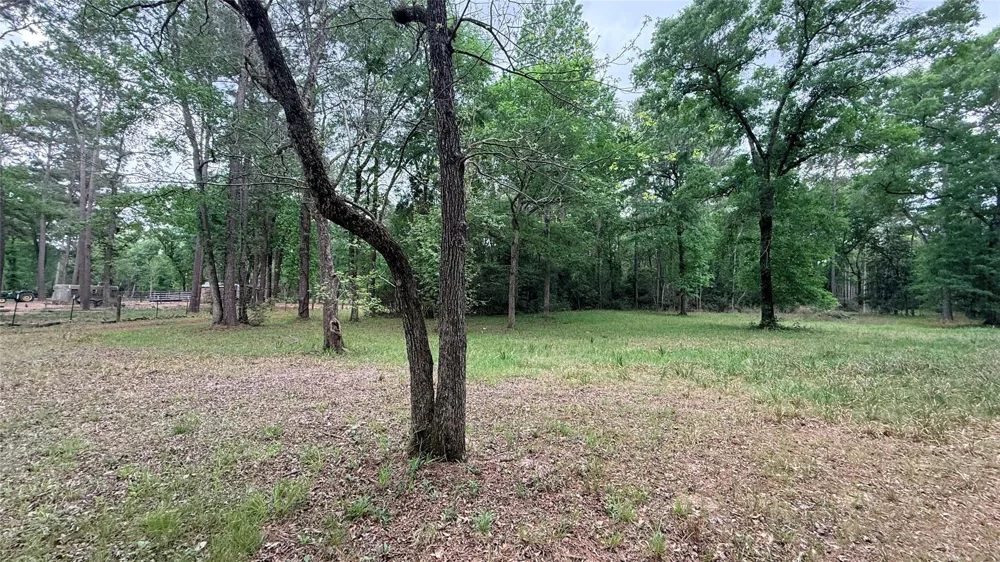 225 Pelican Street Magnolia, TX 77355