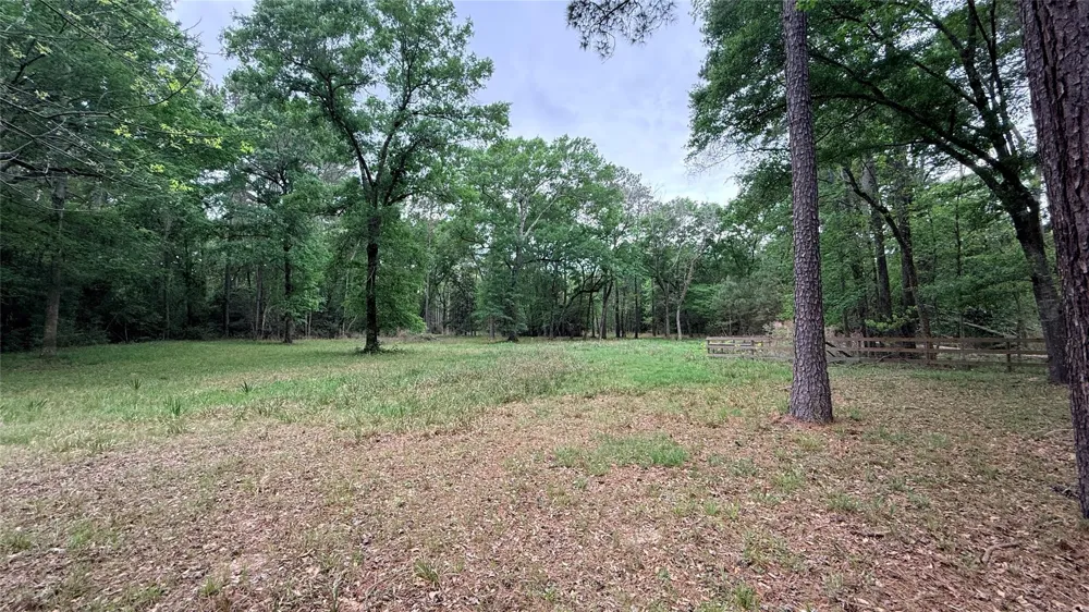225 Pelican Street Magnolia, TX 77355
