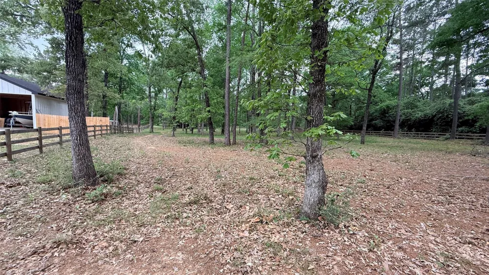 225 Pelican Street Magnolia, TX 77355