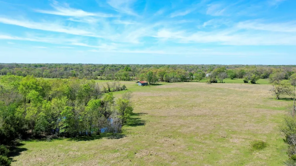6 Fm 3091 Madisonville, TX 77864