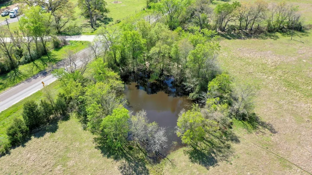 6 Fm 3091 Madisonville, TX 77864