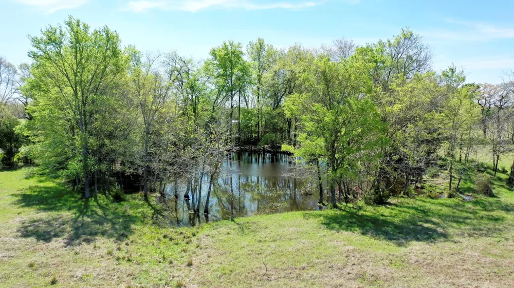 6 Fm 3091 Madisonville, TX 77864