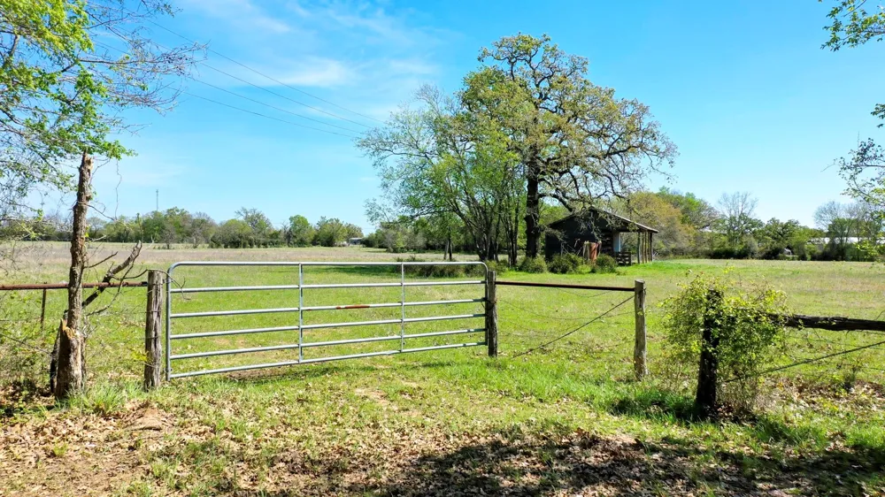6 Fm 3091 Madisonville, TX 77864