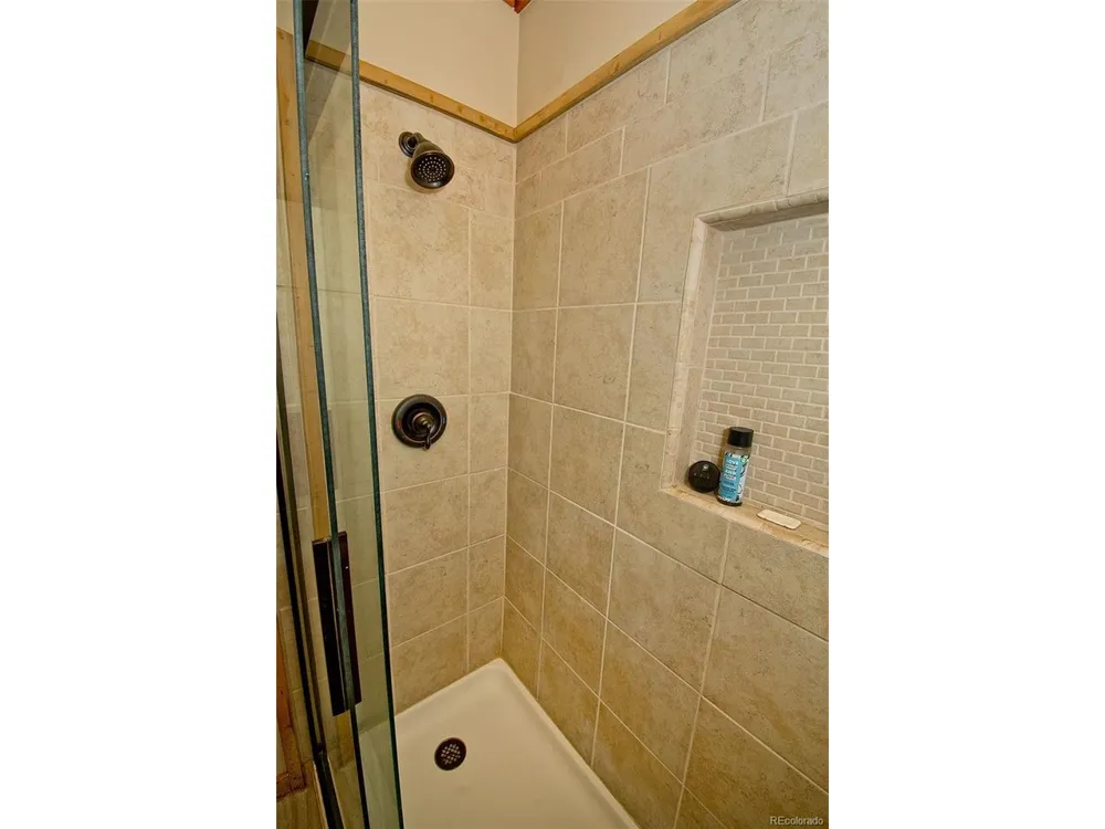 3421 Camino Del Rey Crestone, CO 81131