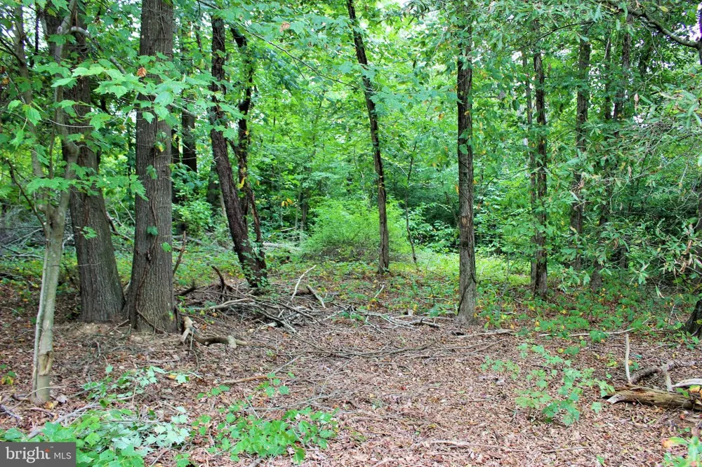 28723 THREE NOTCH Mechanicsville, MD 20659