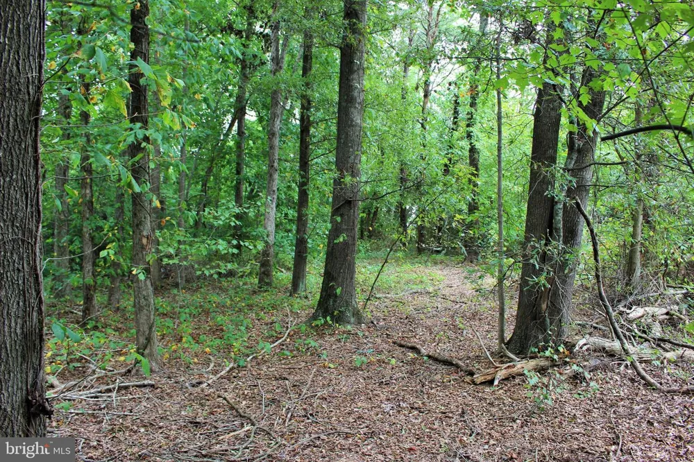 28723 THREE NOTCH Mechanicsville, MD 20659