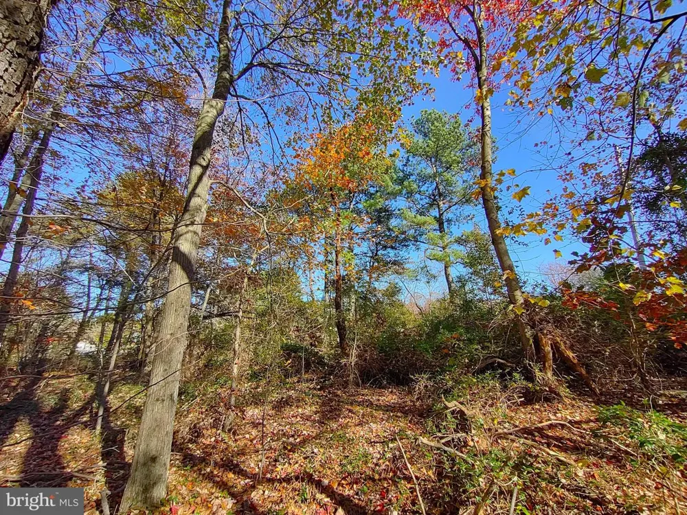28723 THREE NOTCH Mechanicsville, MD 20659