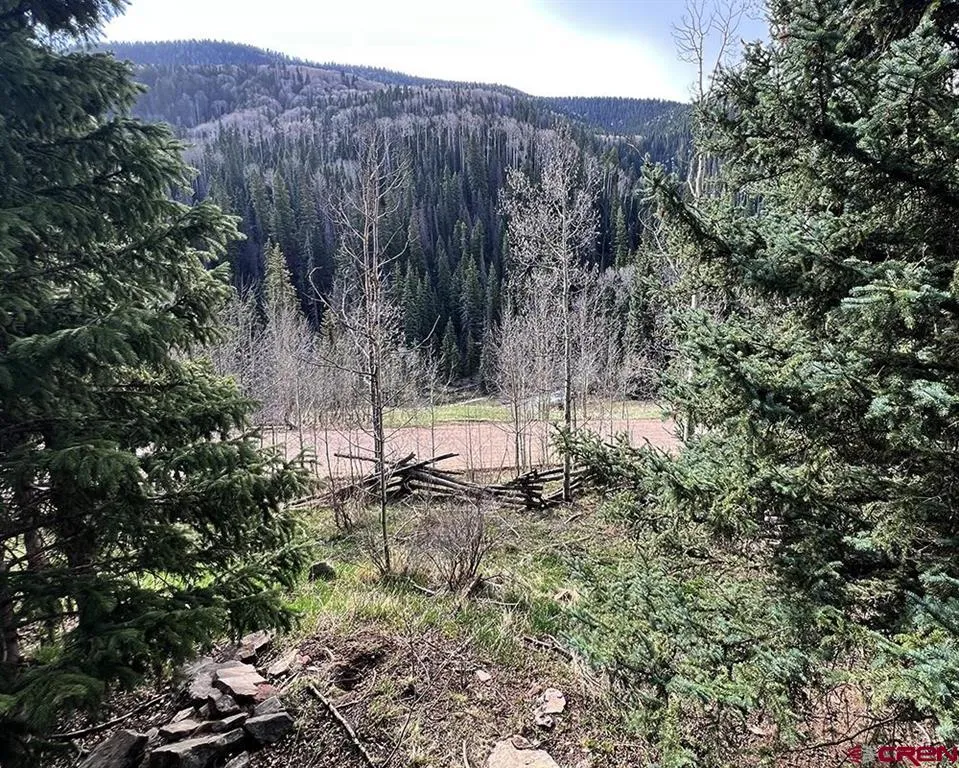 9207 Road 38 Dolores, CO 81323