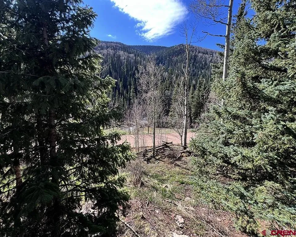 9207 Road 38 Dolores, CO 81323