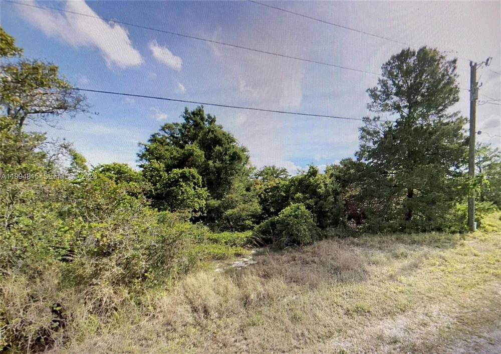 227 PERSHING AVE Lake Placid, FL 33852