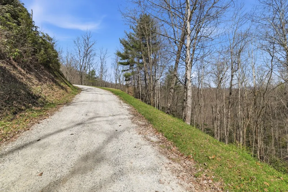 Double Springs Drive Robbinsville, NC 28771