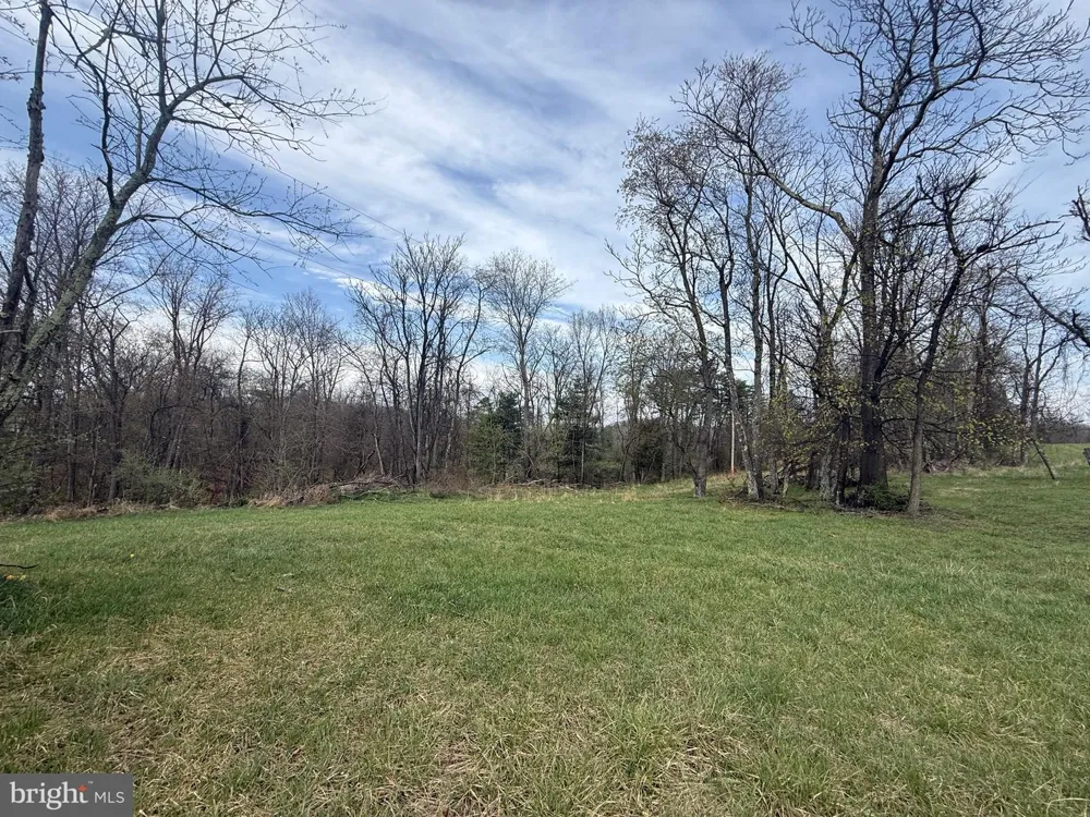 1907 PIOUS RIDGE ROAD Berkeley Springs, WV 25411